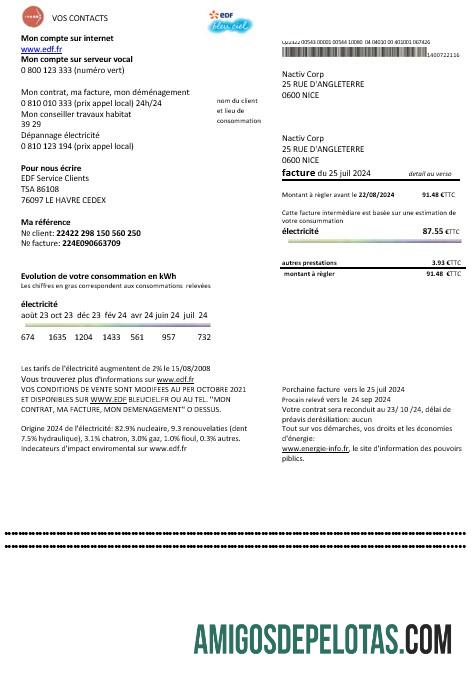 Em branco modelo de comprovante de endereço da França EDF para fatura de serviços públicos em formatos Word e PDF